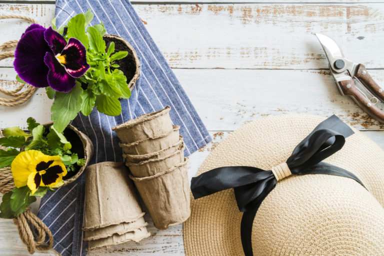 Astuces de Rangement pour l’Été